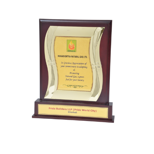 Appreciation Award By MNGL