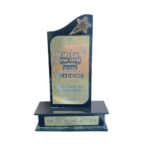 Mega Home Carnival By Times of India - Award