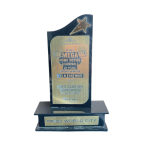 Mega Home Carnival By Times of India - Award